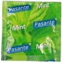 Pasante Mint 1 ks