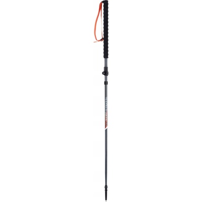 Viking Mission FS