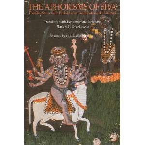 Aphorisms of Siva (ISBN: 9780791412640)