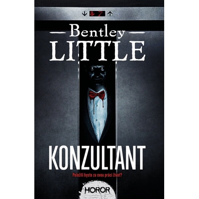 Konzultant - Bentley Little