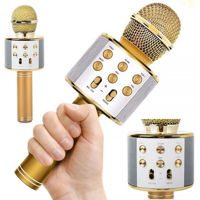 SOLEX Mikrofon ruční WS 858 GOLD Karaoke