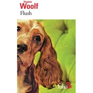 Flush: Biographie (0000)
