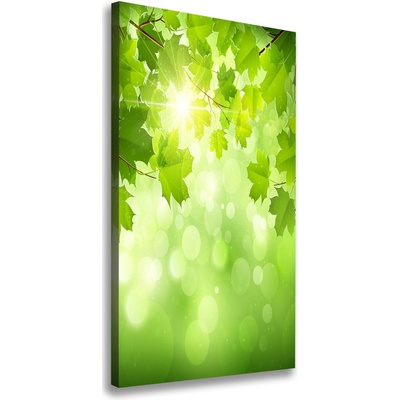 Vertikálny foto-obraz canvas do obývačky Zelené lístie 50x100 cm