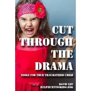 cut through the drama: tools for your traumatized child | David Lee (ISBN: 9781517300845)