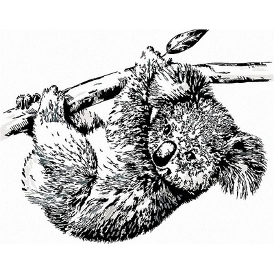 zuty Malování Podle Čísel Černobílá Koala 40 x 50 Cm Plátno Rám