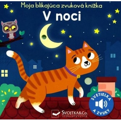 Moja blikajúca zvuková knižka V noci