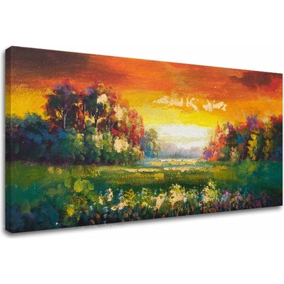 Obraz na plátne LÚKA - 100x50 cm