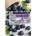 Orjena Natural Moisture Sheet Mask - Blueberry Маска за лице дамски 23ml