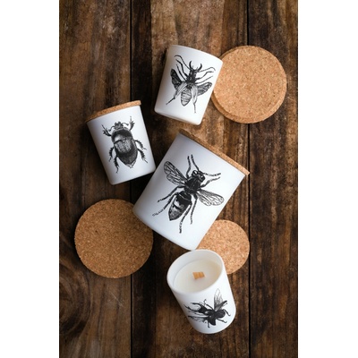 Vila Hermanos Insect Lucanus Cervus 75 g