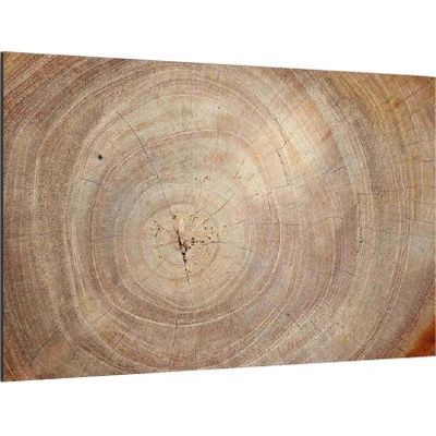 Allboards TS64_30008 Skleněný obraz DŘEVO 60x40 cm