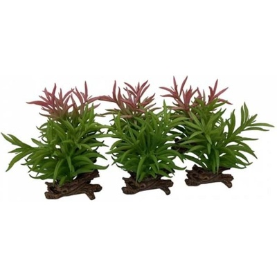 Europet Bernina Terra Della Crassula mix 13x10,5x16 cm