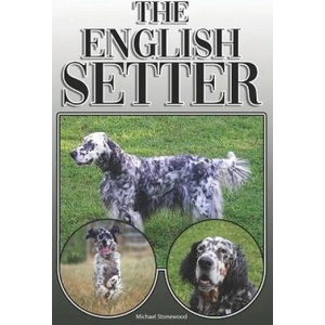 The English Setter: A Complete and Comprehensive Owners Guide To: Buying, Owning, Health, Grooming, Training, Obedience, Understanding and | Michael Stonewood (ISBN: 9781091989054)