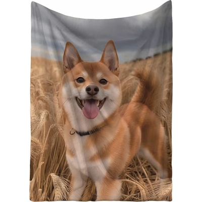 Excellent Mikroplyšová hřejivá deka Shiba Inu 150x200