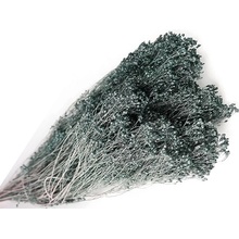 Sušené kvety Broom Bloom 100g - tmavosivé