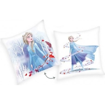 Herding Obojstranný vankúš Disney Frozen 2 40x40