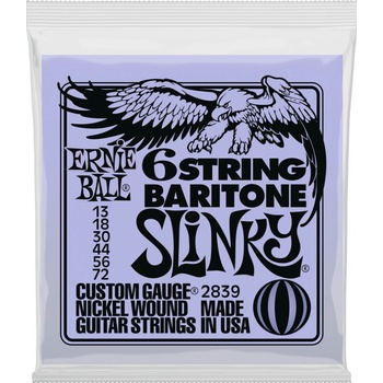 Ernie Ball 2839