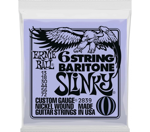 Ernie Ball P02839