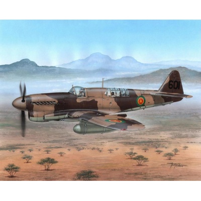 Special Hobby Firefly Mk.I Foreign Post War Service 1:48