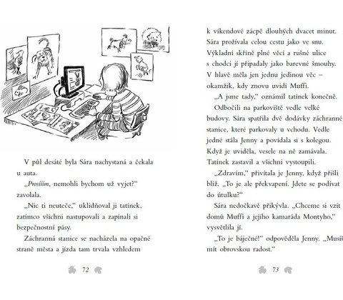 Osamělý králíček