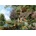 Art Puzzle - Puzzle Davison: Far from the City - 3 000 piese