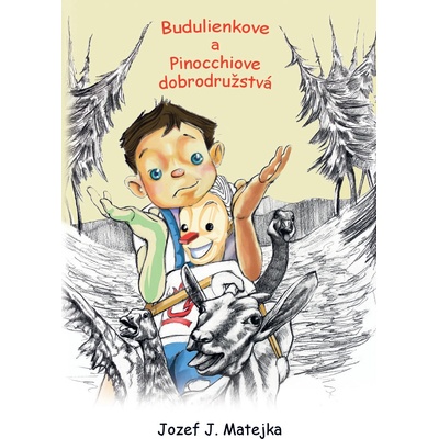Principy reprezentativní vlády