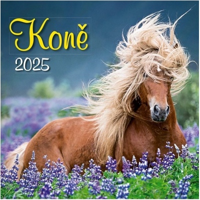 Koně nástěnný 2025