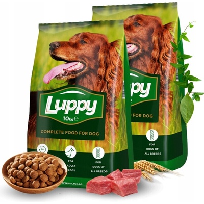 Luppy Adult Active s komplexom Vitamin 20 kg