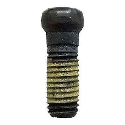 Milwaukee 4931465497 Šroub k rychloupínacímu sklíčidlu pro Milwaukee M12 FPD(2) a FDD(2)