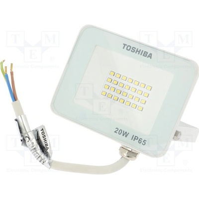 Toshiba DELL-FLC4020C5A021