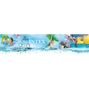 Intex 55684