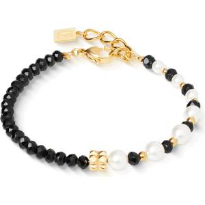 Coeur de lion 4313/30-1314 (4313/30-1314)