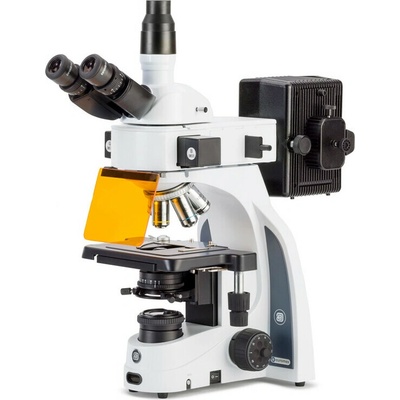 Euromex iScope IS.3153-PLi/3