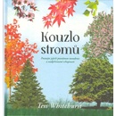 Kouzlo stromů