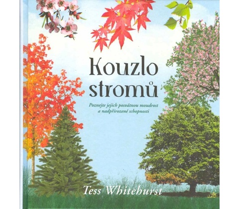 Kouzlo stromů