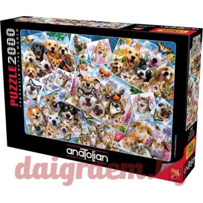 Anatolian Пъзел anatolian 3947 - 2000 части - Животинко селфи (p3947)