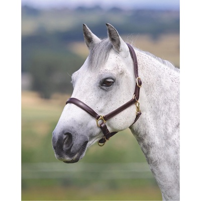 Shires Velocito Gara Ragley Lined Headcollar - Hav