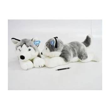Dubi Husky 62cm