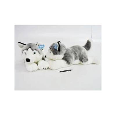 Dubi Husky 62cm