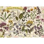 Trefl - Puzzle Herbarium: Medicinal herbs - 500 piese