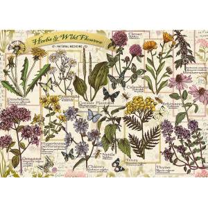 Trefl - Puzzle Herbarium: Medicinal herbs - 500 piese