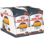 Royal Canin Hair & Skin Care Jelly консерви за котки в желе 24 x 85 г