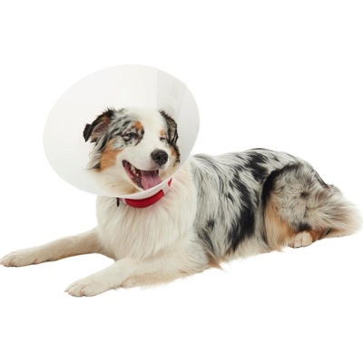 Kruuse Buster Classic Collar Plastový ochranný límec 7,5 cm