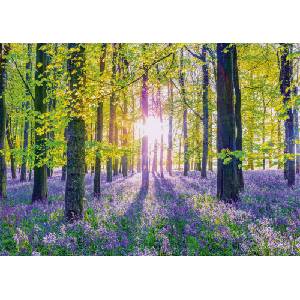 Schmidt Spiele - Puzzle Assaf Frank: Delicate bluebells in the forest - 1 000 piese