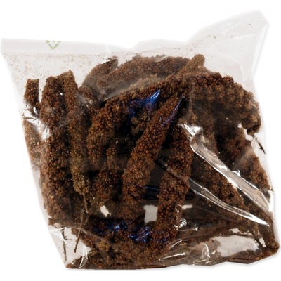 AVICENTRA Búrske orechy v škrupine 10kg