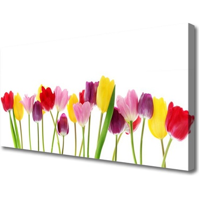 Obraz na plátně Tulipány Květiny Rostlina 100x50 cm