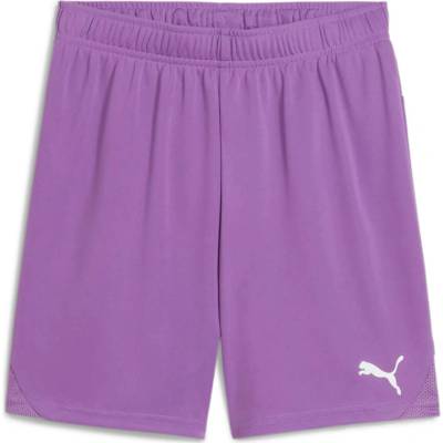 Puma teamGOAL Shorts Jr 705753-33