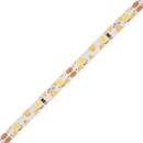 T-LED 07804