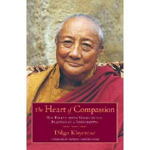 Heart of Compassion (2007)