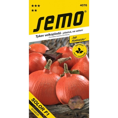 TEKVICA hokkaido Solor F1