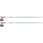 LEKI Щеки за нордик ходене Leki Passion Nordic walking poles - Smokegreen / White / Dark Anthracite - размер 110 cm (526-0582-0213)